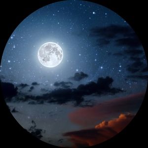 Meet your Posher, Jacob